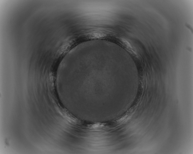 X0000097460366200803141857