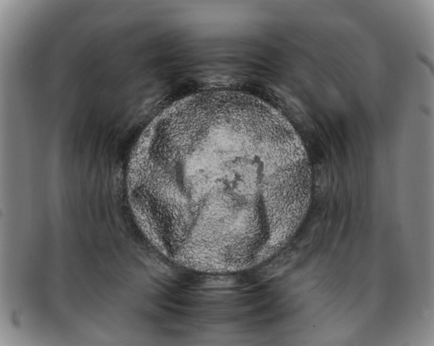 X0000097460369200803141857