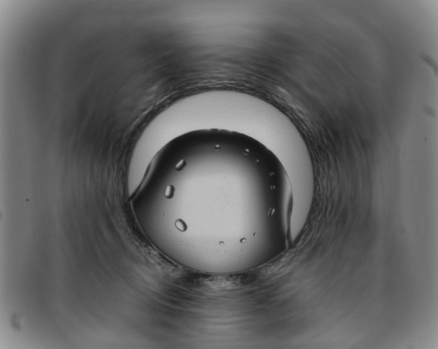 X0000097460370200803141857