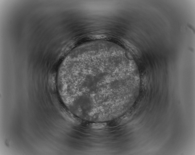 X0000097460373200803141857