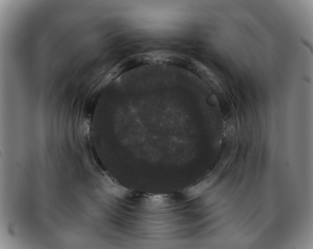 X0000097460382200803141857