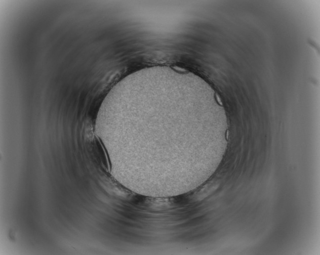 X0000097460384200803141857