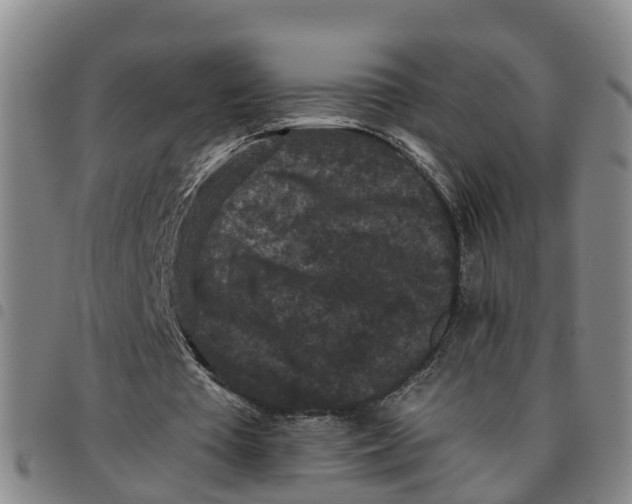 X0000097460385200803141856