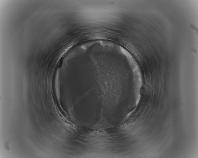 X0000097460386200803141856