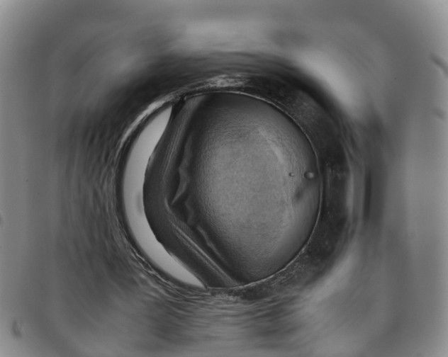 X0000097460387200803141856