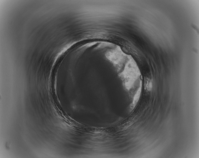 X0000097460388200803141856