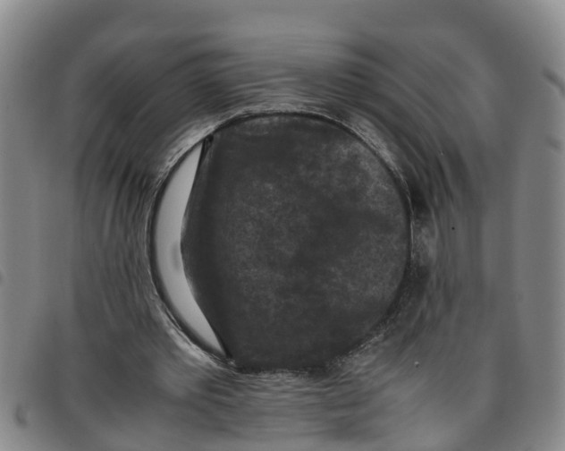 X0000097460389200803141856