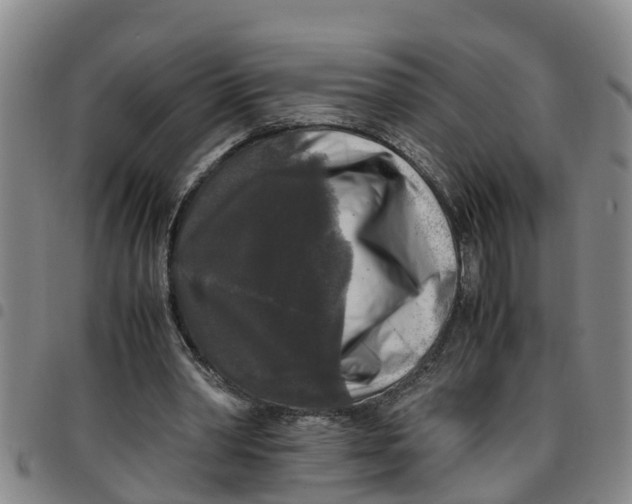 X0000097460390200803141856