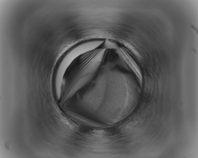 X0000097460391200803141856