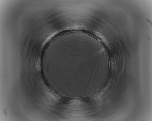 X0000097460392200803141856