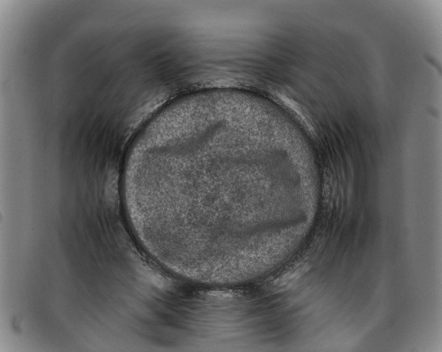 X0000097460394200803141856