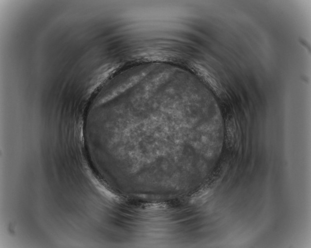 X0000097460398200803141856