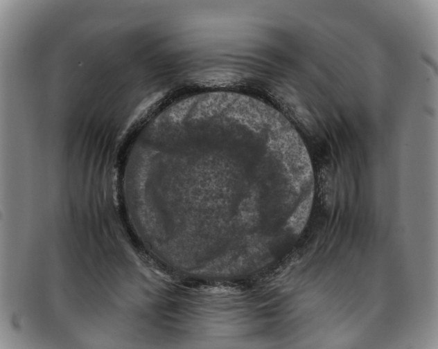 X0000097460400200803141856