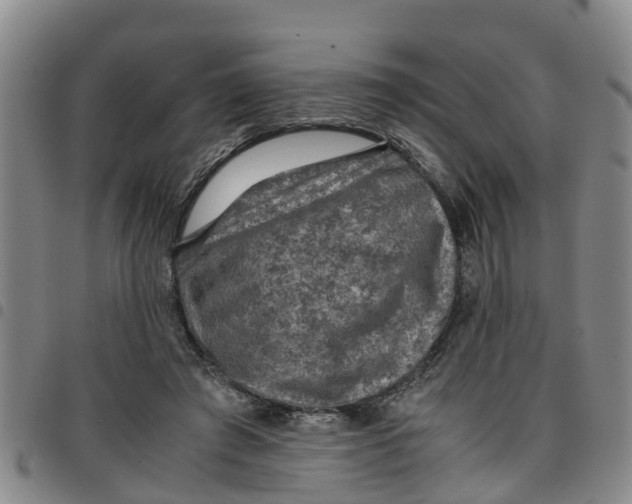 X0000097460401200803141856