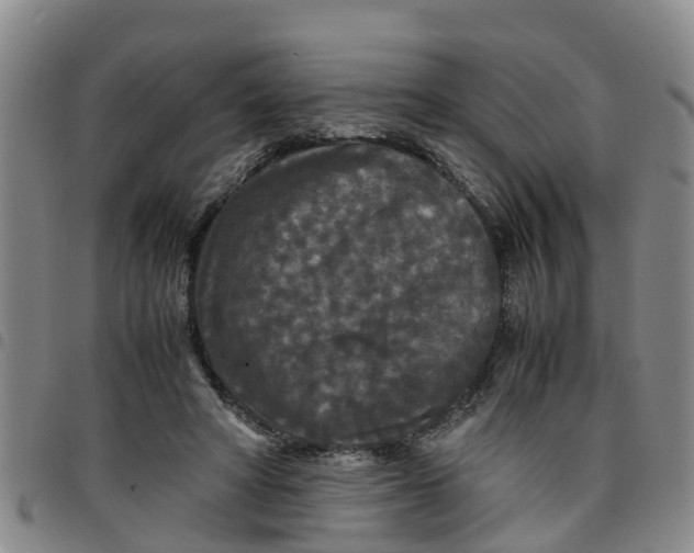 X0000097460402200803141856