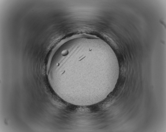 X0000097460403200803141856