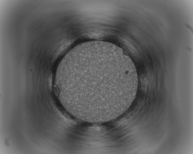 X0000097460404200803141856