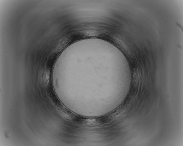 X0000097460406200803141856