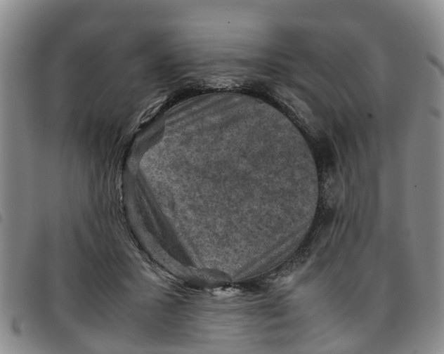 X0000097460407200803141856