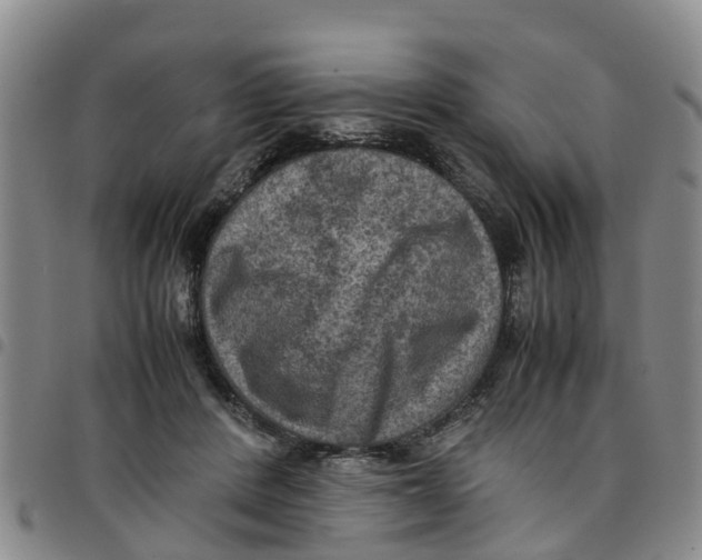 X0000097460408200803141856