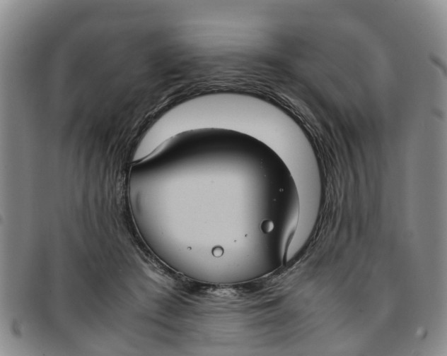 X0000097460409200803141856