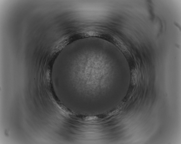 X0000097460410200803141856