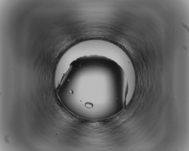 X0000097460411200803141856