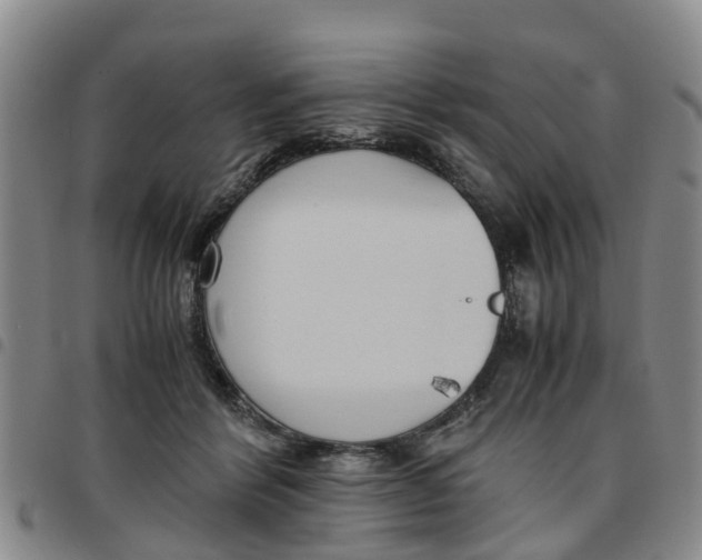 X0000097460412200803141856