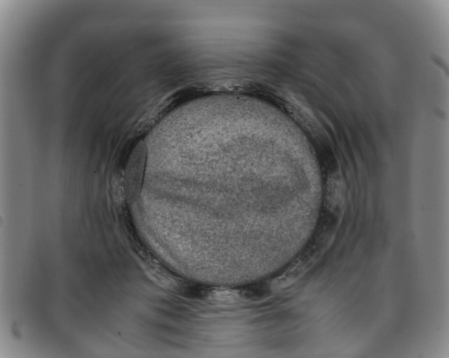 X0000097460413200803141856