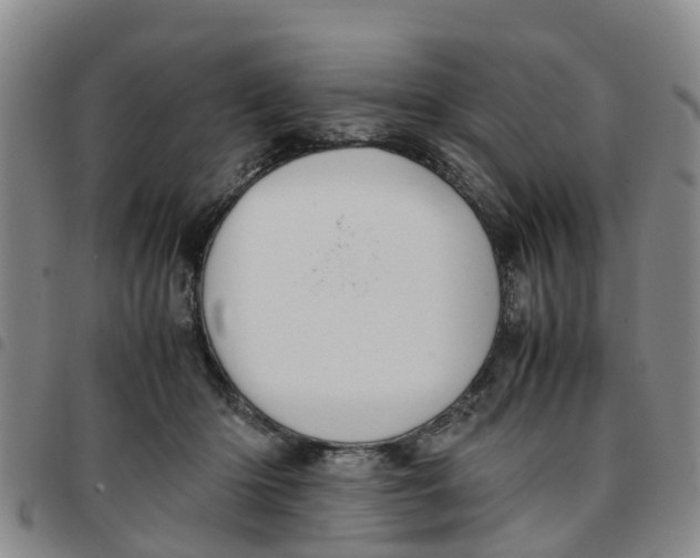 X0000097460414200803141856