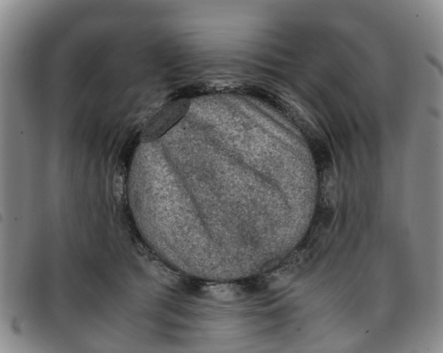 X0000097460417200803141856