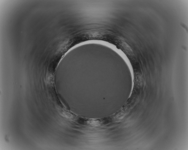 X0000097460419200803141856