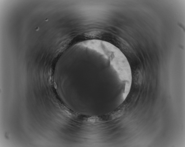 X0000097460420200803141856