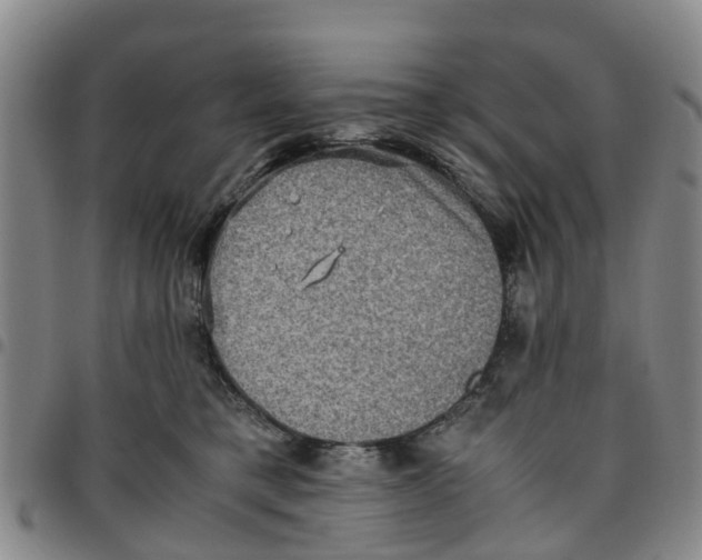 X0000097460421200803141856