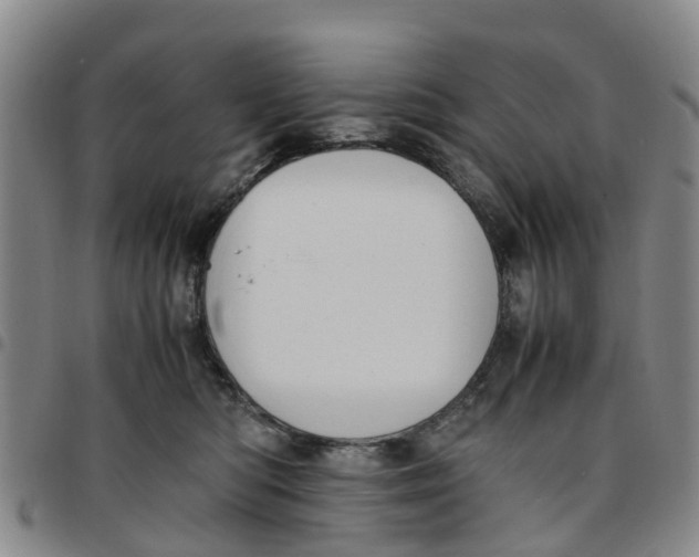 X0000097460422200803141856