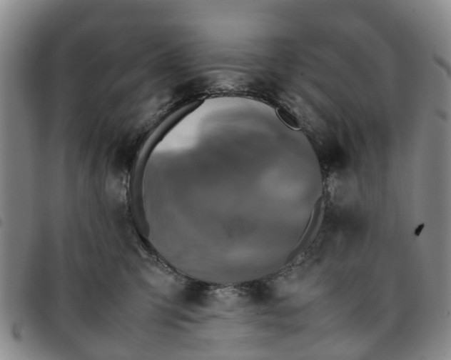 X0000097460423200803141856