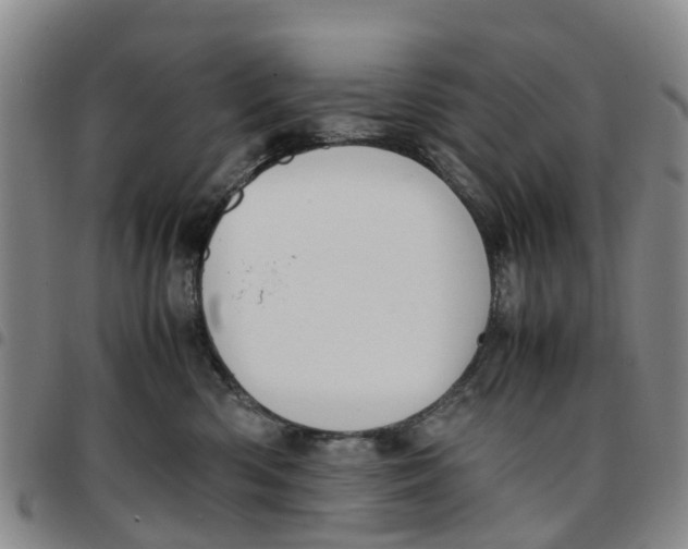 X0000097460426200803141856