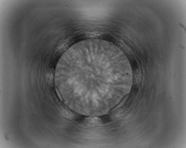 X0000097460427200803141856