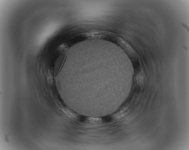 X0000097460429200803141855