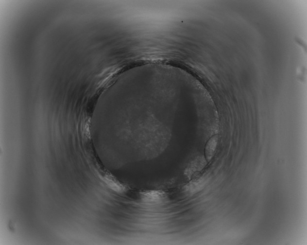 X0000097460432200803141855