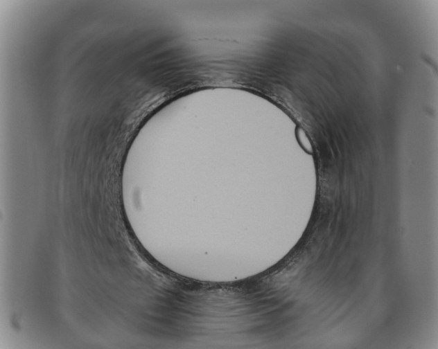 X0000097460433200803141855