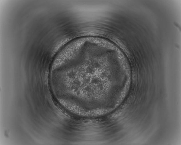 X0000097460434200803141855