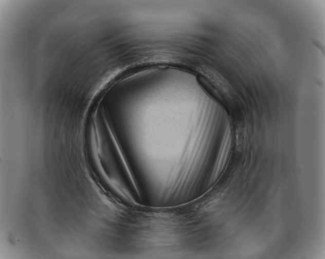 X0000097460436200803141855