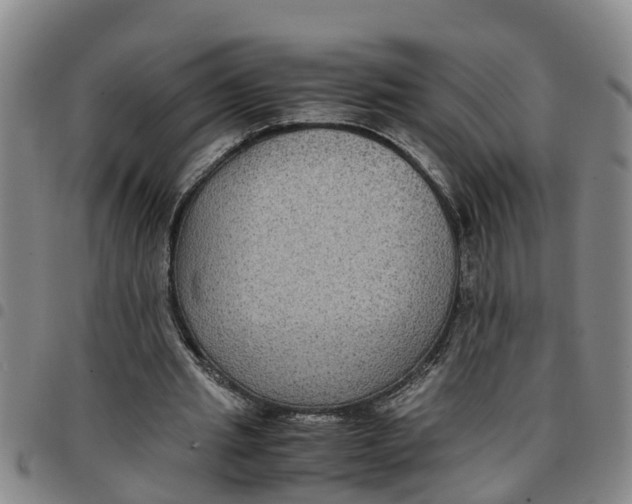 X0000097460437200803141855