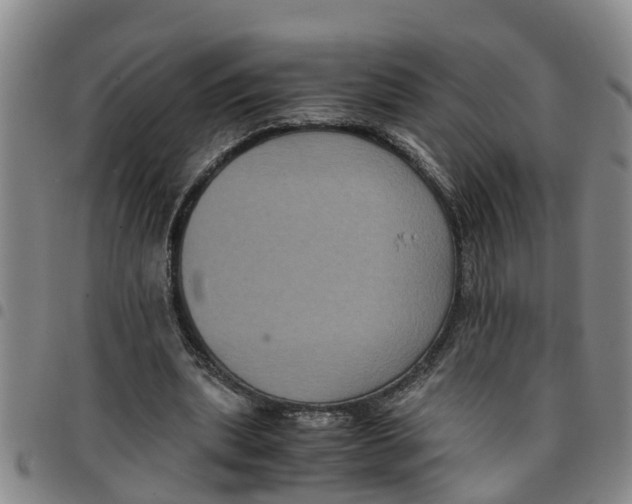 X0000097460439200803141855