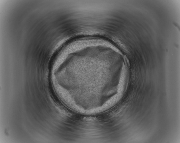 X0000097460440200803141855