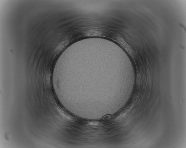 X0000097460441200803141855