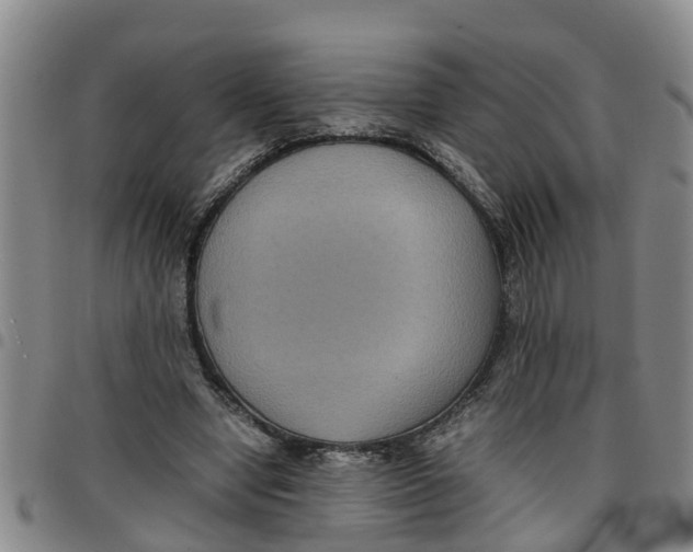 X0000097460442200803141855