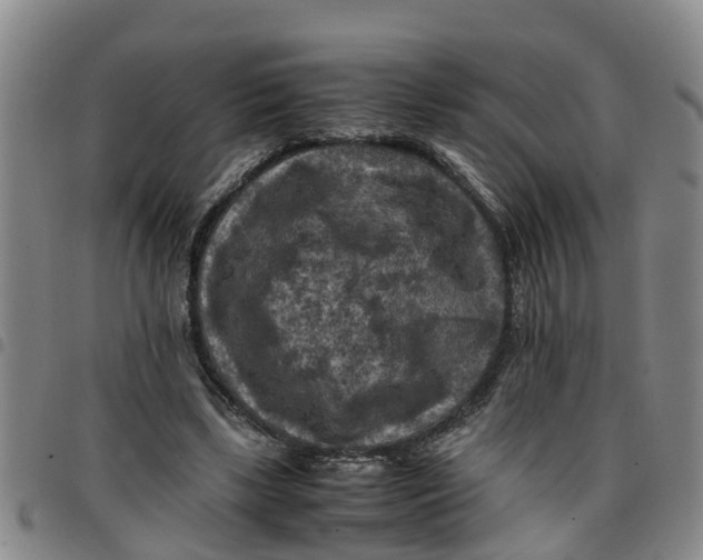 X0000097460443200803141855