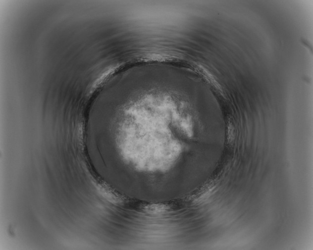 X0000097460444200803141855